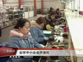 全市中小企业开发忙