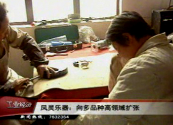 凤灵乐器:向多品种高领域扩张