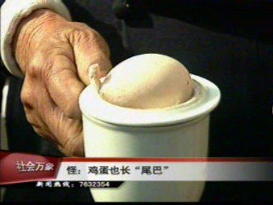 怪:鸡蛋也长尾巴