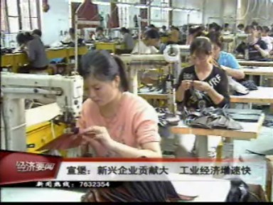 宣堡:新兴企业贡献大 工业经济增速快