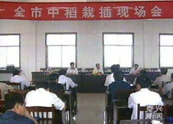 市政府要求寻求中稻生产新突破