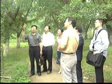 张令玉教授来我市考察