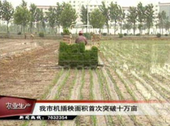 我市机插秧面积首次突破十万亩