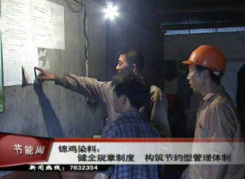 锦鸡染料:健全规章制度 构筑节约型管理体制