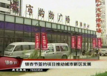 银杏节推动新区建设