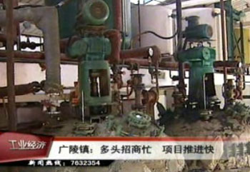 广陵镇多头招商忙 内外资项目推进快