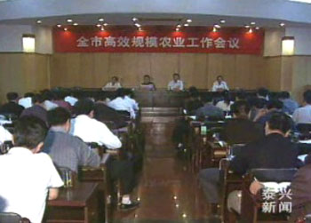 扎实推进高效农业规模化发展