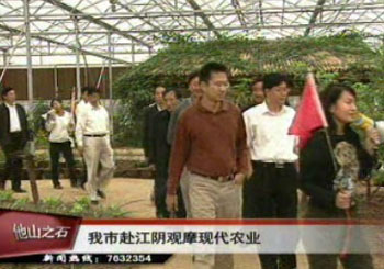 我市赴江阴观摩现代农业