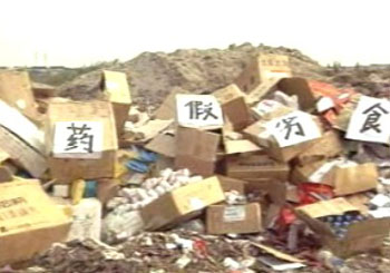 我市举行假劣食品药品集中销毁活动