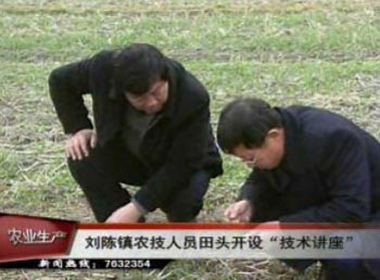 刘陈镇农技人员田头开设“技术讲座”
