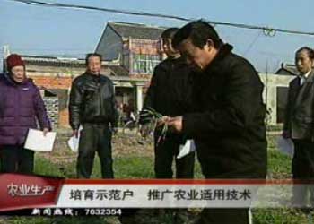 农技人员培育示范户 大力推广农业适用技术