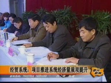 经贸系统:项目推进系统经济量质双提升