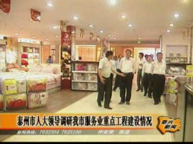 泰州市人大领导调研我市服务业重点工程建设情况