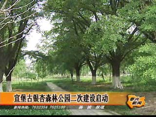 宣堡古银杏森林公园二次建设启动