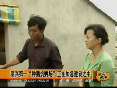 泰兴第一“种鹅炕孵基地”即将建成
