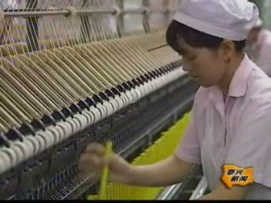 泰兴镇培植新亮点 促进工业经济双过半