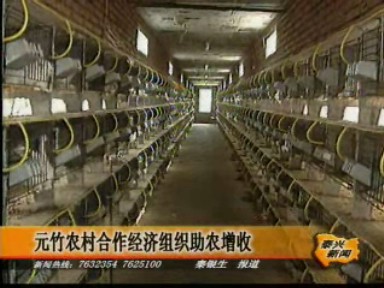 元竹农村合作经济组织助农增收