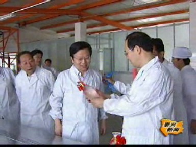 我国首条银杏深加工酒灌装线正式投产