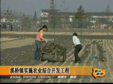 溪桥镇实施农业综合开发工程