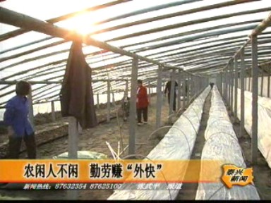 农闲人不闲 勤劳赚“外快”