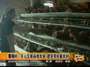 珊瑚村:多元发展高效农业 建设美好新农村