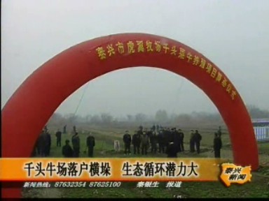 千头牛场落户横垛 生态循环潜力大