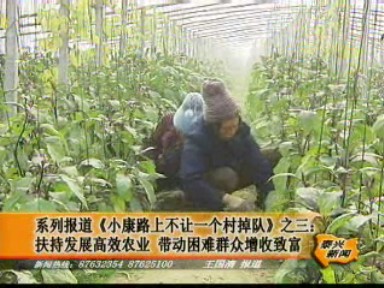 扶持发展高效农业 带动困难群众增收致富