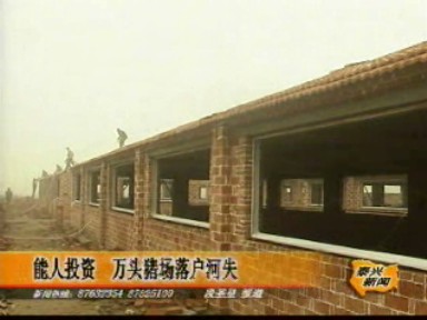 能人投资 万头猪场落户河失