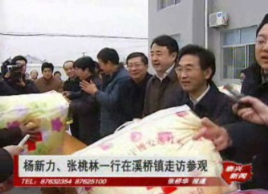 杨新力、张桃林一行走访慰问溪桥镇南殷村和江苏凤灵集团