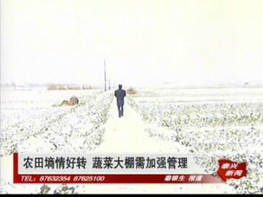 农田墒情好转 蔬菜大棚需加强管理