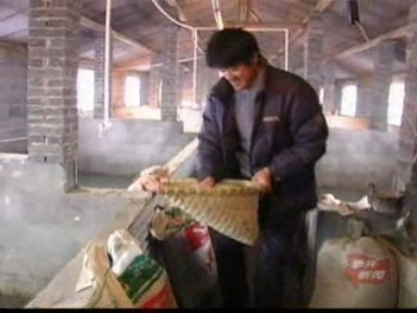 周跃进:残疾猪倌 勤劳致富