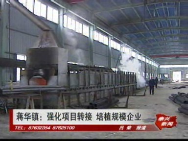 蒋华镇:强化项目转接 培植规模企业