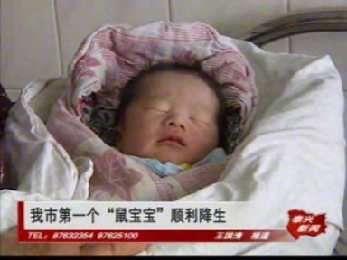 我市第一个“鼠宝宝”顺利降生