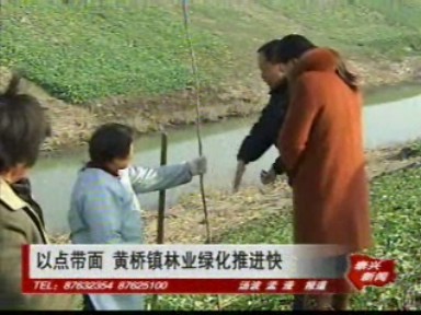 以点带面 黄桥镇林业绿化推进快