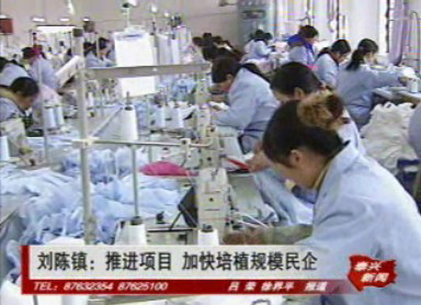 刘陈镇:推进项目 加快培植规模民企