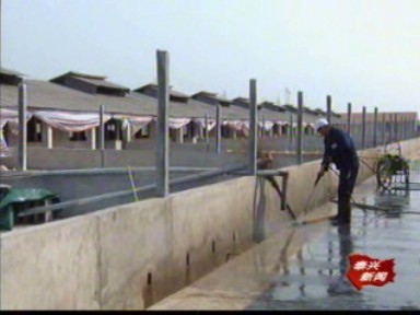 新街镇建成全市最大的种鸭场