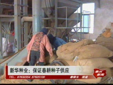 市新华种业:保证春耕种子供应