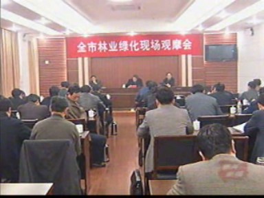 奋战半个月 全面完成林业绿化任务