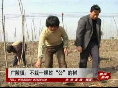 广陵镇:不栽一棵姓“公”的树