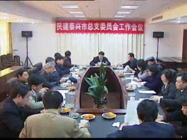 民建泰兴市总支工作会议召开