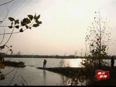 六万亩鱼苗放养结束 高效益鱼种增加