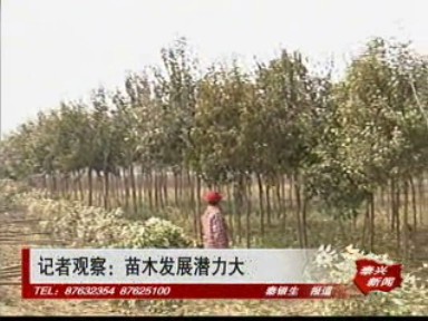 记者观察:苗木发展潜力大