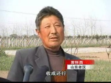 六名山东老人 五年种植满载而归