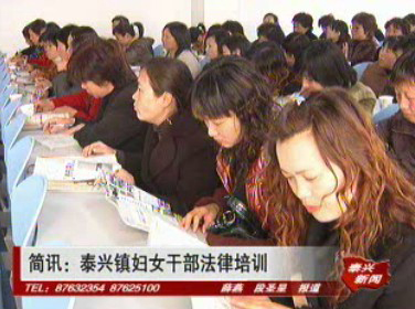 泰兴镇妇女干部法律培训