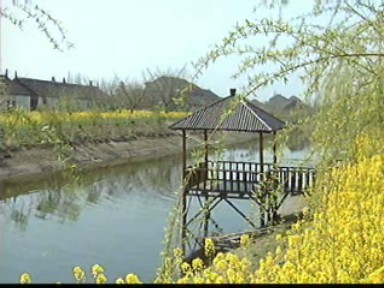 环境整治结硕果 农村经济新发展