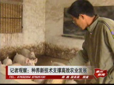 记者观察:新种养技术支撑高效农业发展