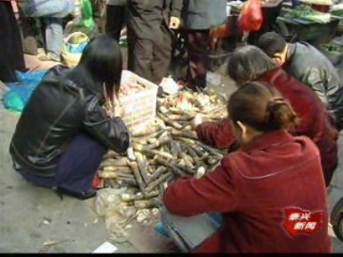 春笋食用正当时 “尝鲜”需谨慎