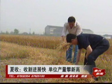 夏收:收割进展快 单位产量攀新高
