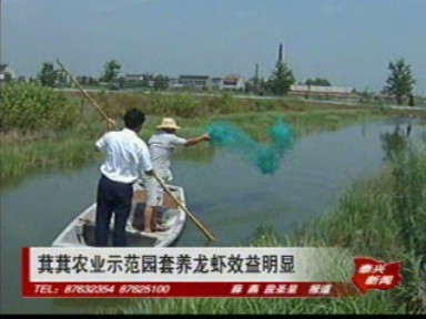 萁萁农业示范园套养龙虾效益明显