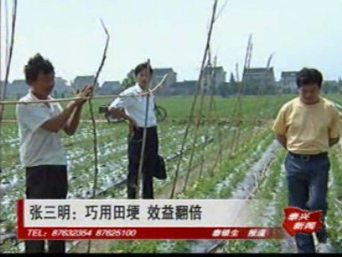 张三明:巧用田埂 效益翻倍